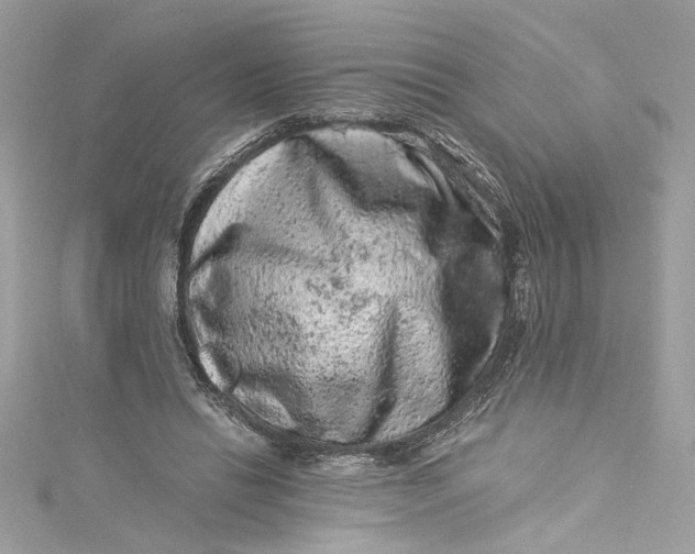 X0000115060446200911161612