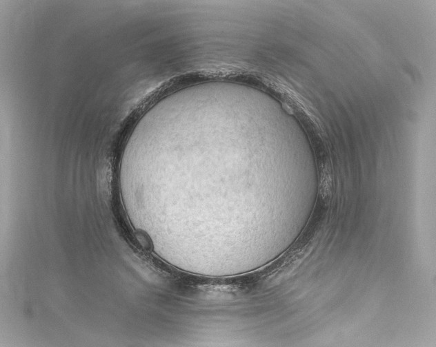 X0000115060448200911161612