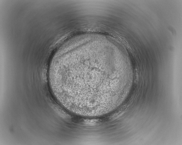 X0000115060450200911161612