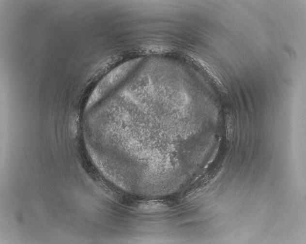 X0000115060451200911161612