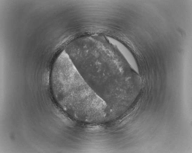 X0000115060454200911161612