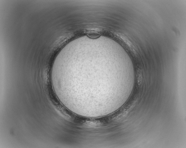 X0000115060455200911161612