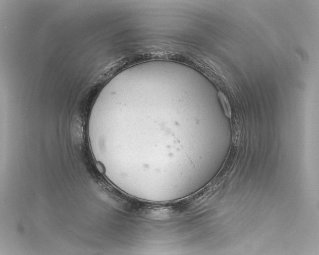 X0000115060456200911161612