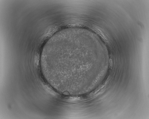 X0000115060458200911161612