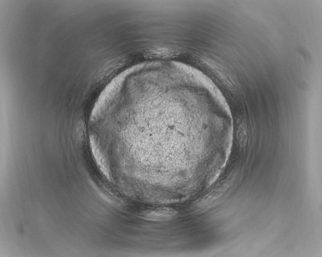 X0000115060459200911161612