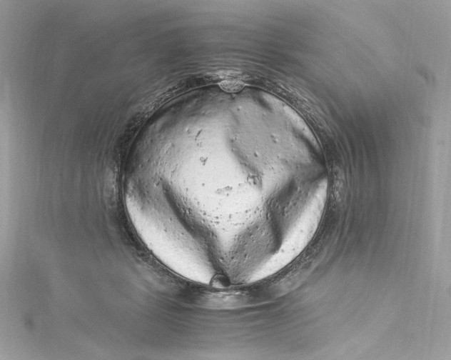 X0000115060461200911161612