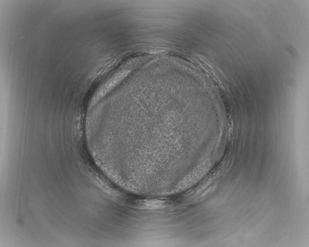 X0000115060462200911161612