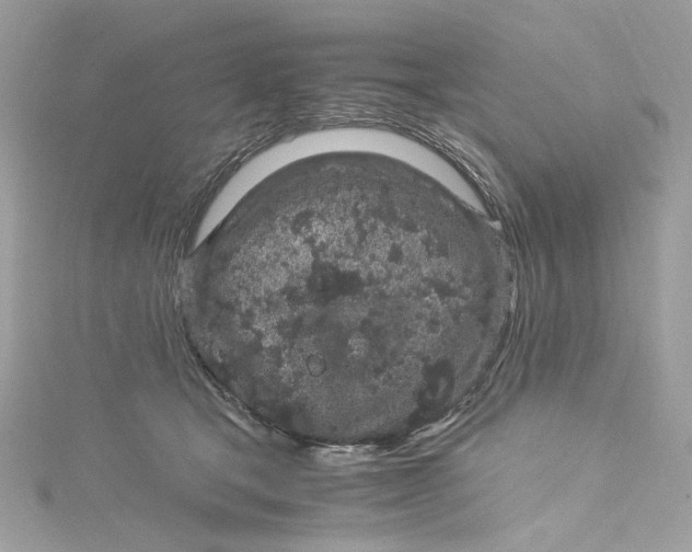 X0000115060465200911161612