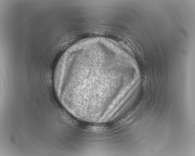 X0000115060466200911161612