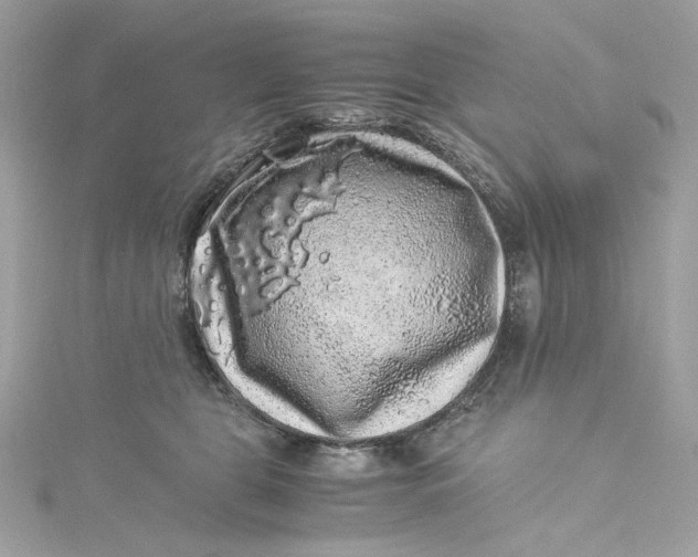 X0000115060469200911161612