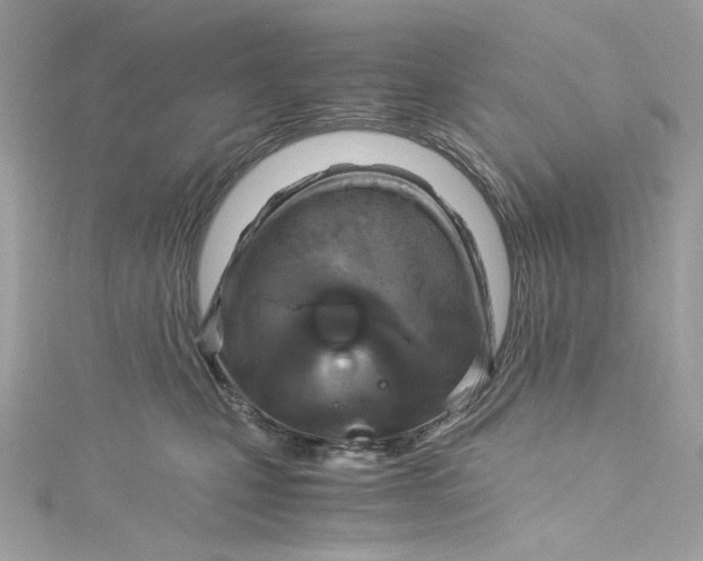 X0000115060471200911161612