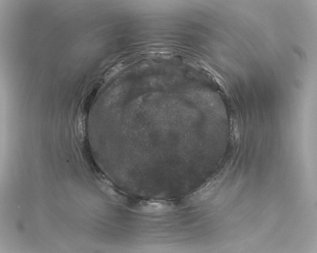 X0000115060475200911161612