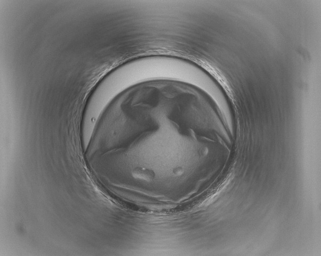 X0000115060481200911161612