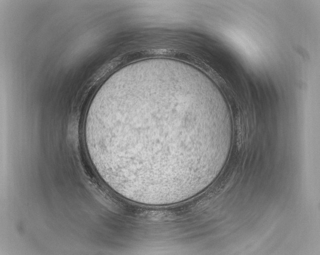 X0000115060482200911161612