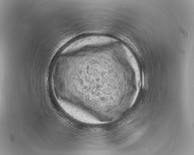 X0000115060483200911161612