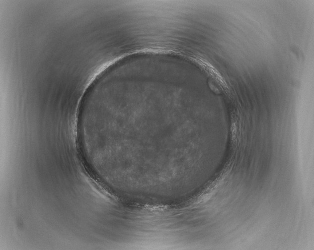 X0000115060484200911161612