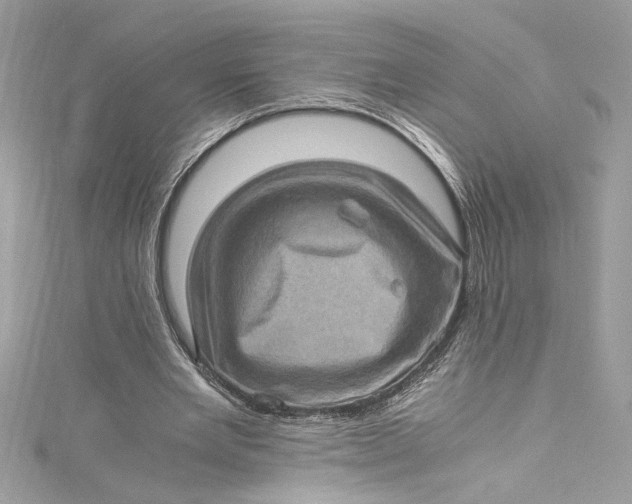 X0000115060485200911161612