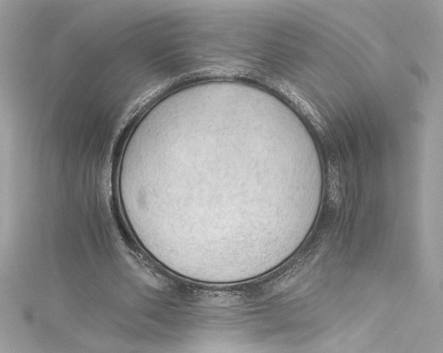 X0000115060486200911161612