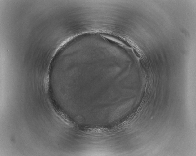 X0000115060488200911161612