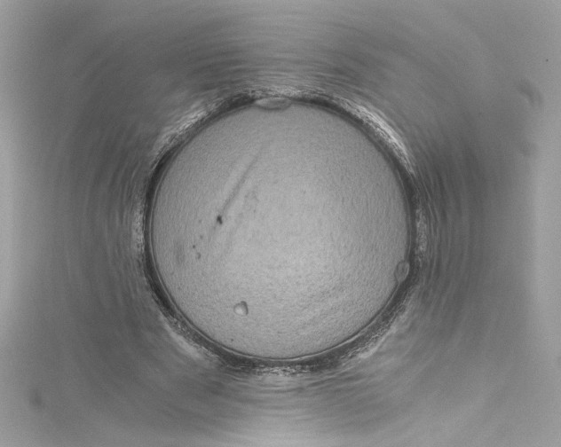 X0000115060489200911161612