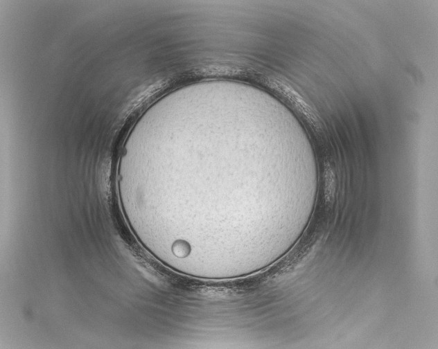 X0000115060490200911161612