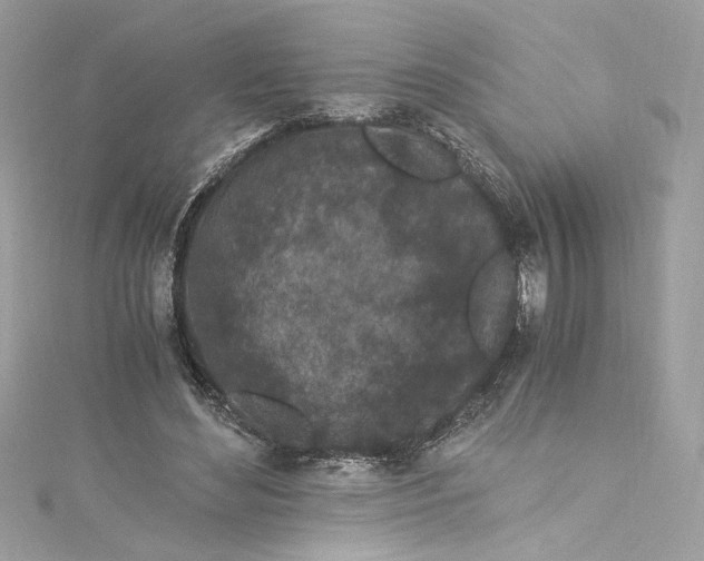 X0000115060492200911161612