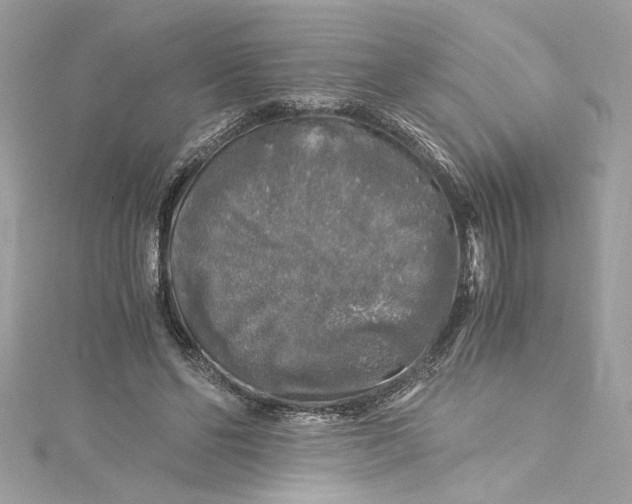 X0000115060494200911161612