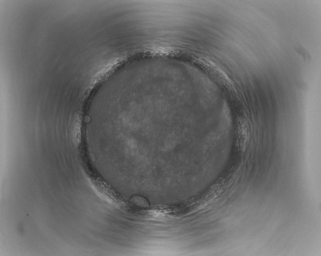 X0000115060496200911161612