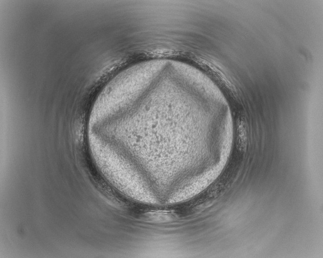 X0000115060499200911161612