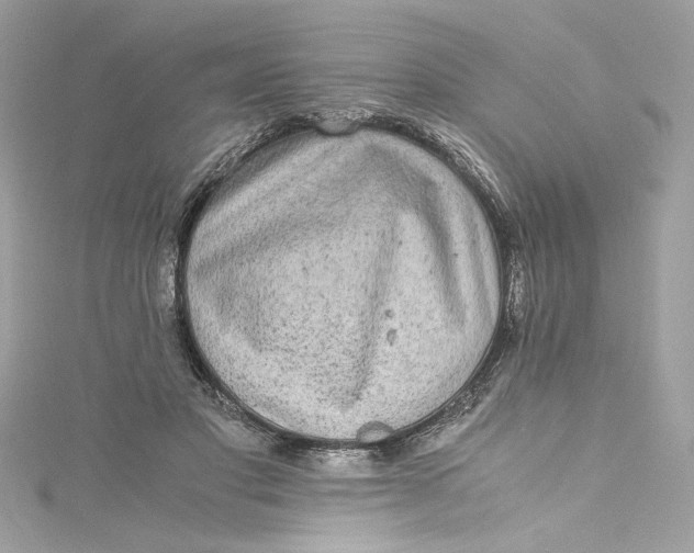 X0000115060501200911161612