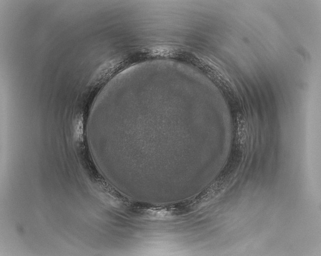 X0000115060502200911161612