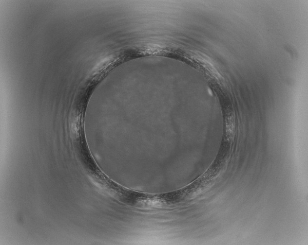 X0000115060503200911161611