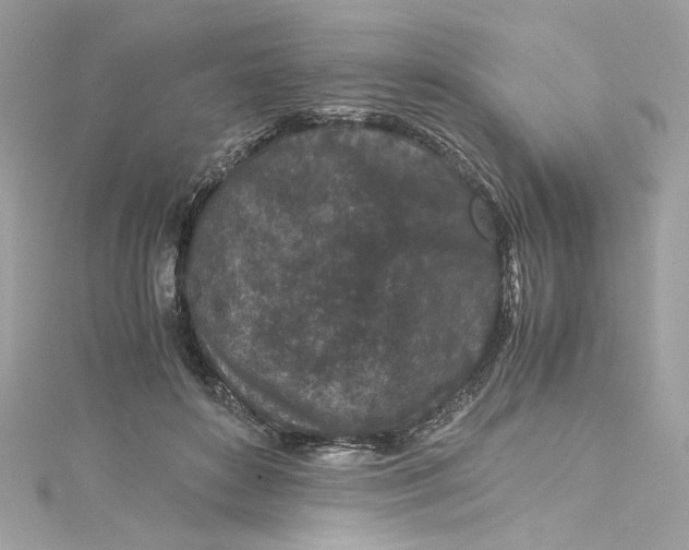 X0000115060504200911161611