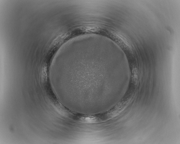 X0000115060506200911161611