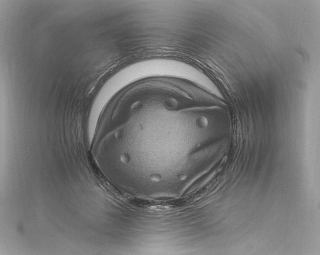 X0000115060508200911161611