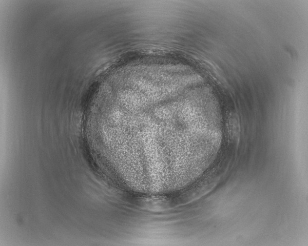 X0000115060511200911161611