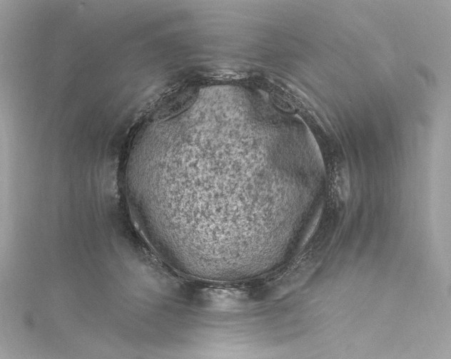 X0000115060512200911161611