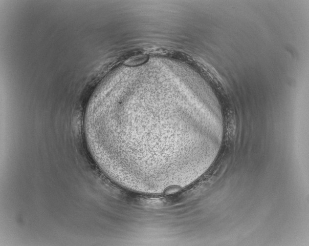 X0000115060513200911161611