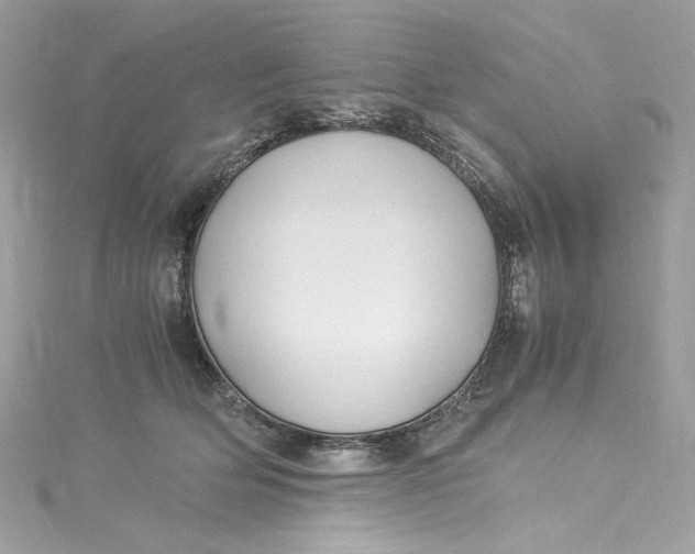 X0000115060514200911161611