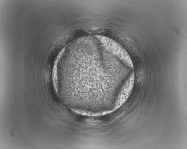 X0000115060515200911161611