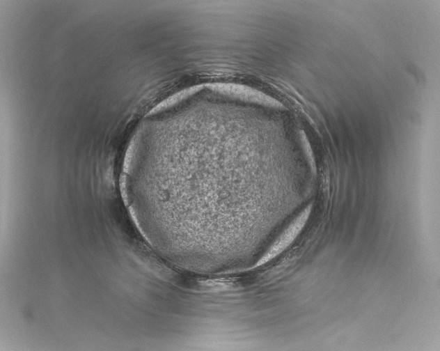 X0000115060516200911161611