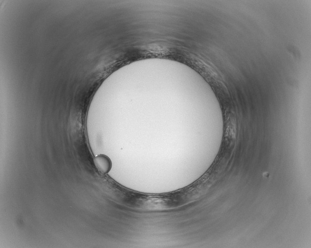 X0000115060518200911161611