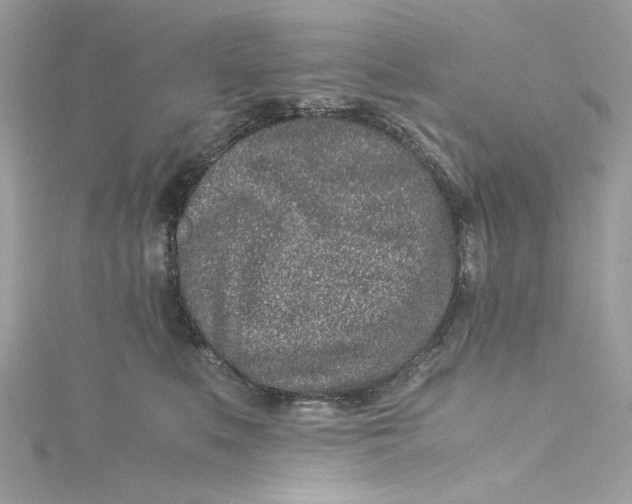 X0000115060519200911161611