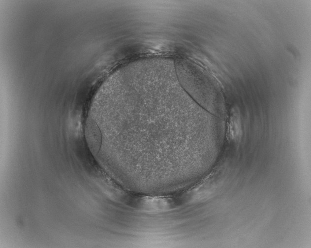 X0000115060520200911161611