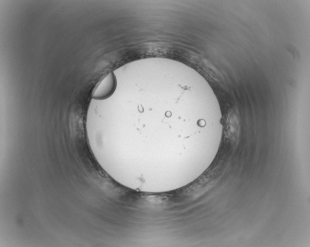 X0000115060522200911161611