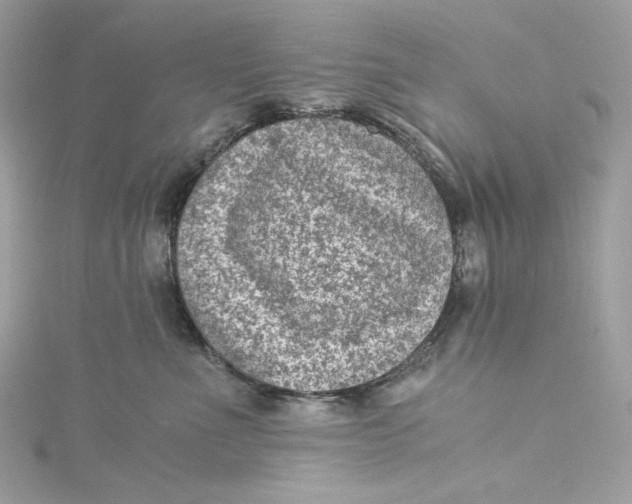 X0000115060523200911161611