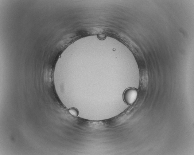 X0000115060525200911161611