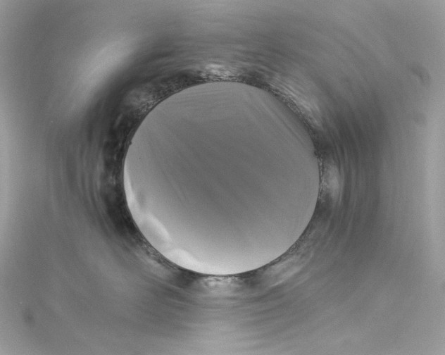 X0000115060526200911161611