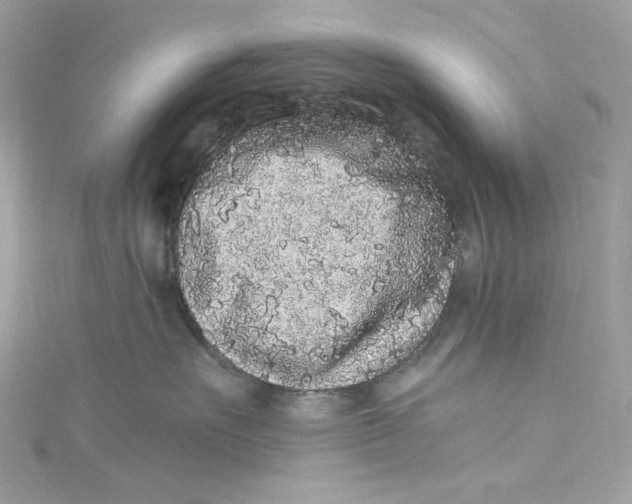 X0000115060527200911161611