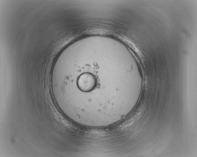 X0000115060529200911161610